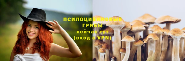 гидропоника Арсеньев