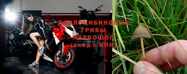гидропоника Арсеньев